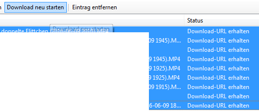 Einige Dateien habe ich markiert, dann klicke ich auf "Download neu starten".